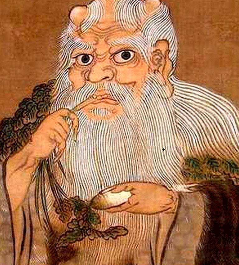 Древние корни на древней земле